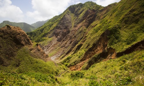 Jungle Bay Dominica